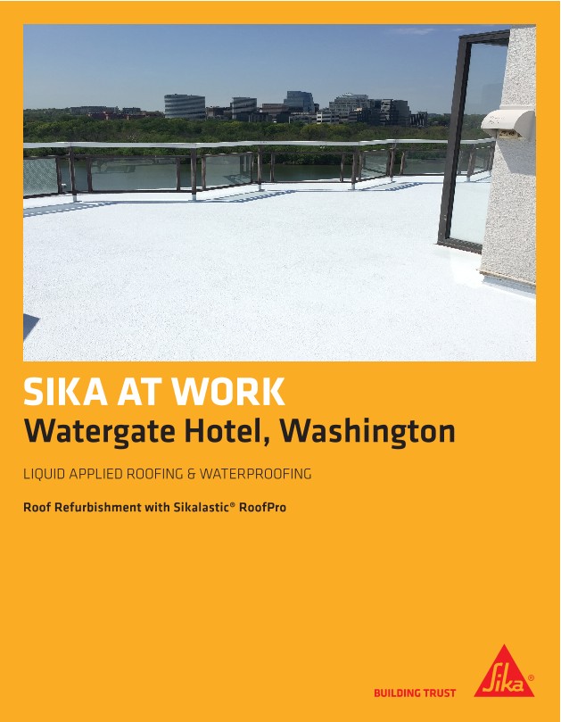 Who was involved in the watergate scandal picture