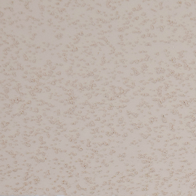 color chip coral beach