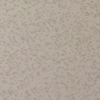 color chip eggshell