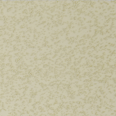 color chip ivory