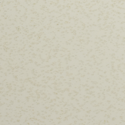 color chip latte foam