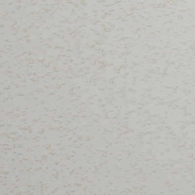color chip sand dollar
