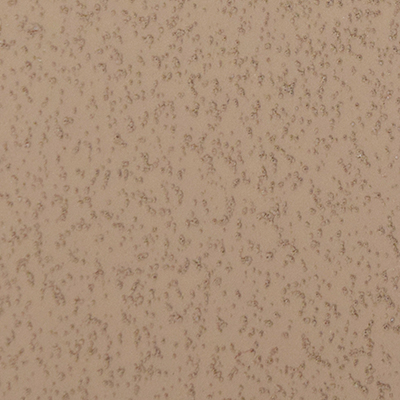 color chip sandalwood